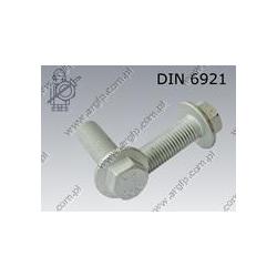 Hex flange bolt  M10×25-10.9 fl Zn  DIN 6921