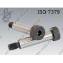Hexagon socket head shoulder screw  M10/12×20-012.9   ISO 7379