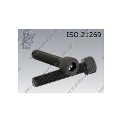 Hex socket head cap screw  FT M10×1,25×25-12.9   ISO 21269