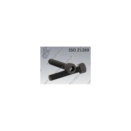 Hex socket head cap screw  FT M10×1,25×25-12.9   ISO 21269