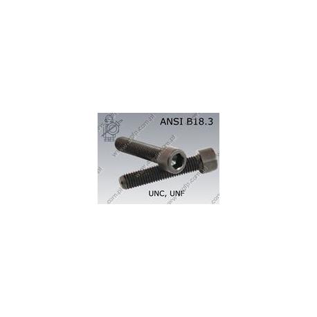 Hex socket head cap screw  FT 1/4-UNC×1"-12.9   ANSI B18.3 (~ISO4762)