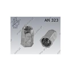 Blind rivet nut reduced head hexagon  M 6 (0,50-3,00)  zinc plated  AN 323