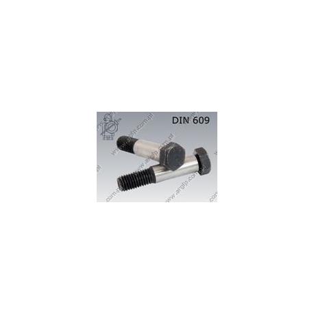 Hex head fit bolt  S19 M12×30-8.8   DIN 609