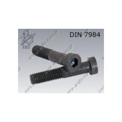 Hex socket head cap screw, low head  M10×60-08.8   DIN 7984