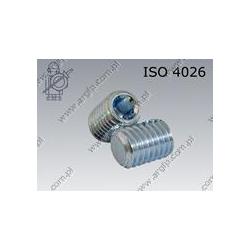 Hex socket set screw with flat point  M10×16-45H zinc plated  ISO 4026