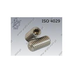 Hex socket set screw with cup point  M 8×10-A2   ISO 4029