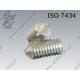 Slotted set screw with cone point  M 5× 8-14H zinc plated  ISO 7434
