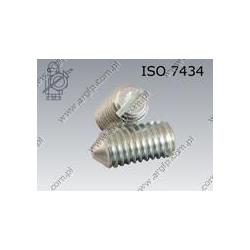 Slotted set screw with cone point  M 5× 8-14H zinc plated  ISO 7434