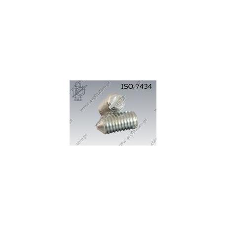 Slotted set screw with cone point  M 5× 8-14H zinc plated  ISO 7434