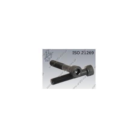 Hex socket head cap screw  M10×1,25×55-12.9   ISO 21269
