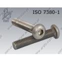 Hexagon socket button head screw  FT M 3× 6-A2-70   ISO 7380-1