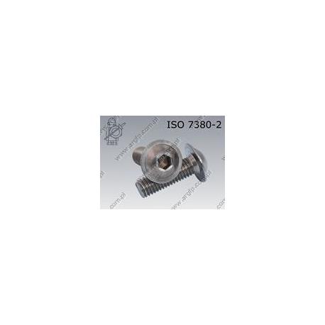 Hexagon socket button head screw with collar  FT M 4×12-A2-70   ISO 7380-2