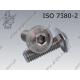 Hexagon socket button head screw with collar  FT M 4×30-A2-70   ISO 7380-2