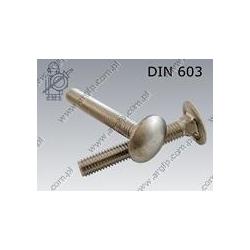 Carriage screw  FT M 5×30-A2   DIN 603