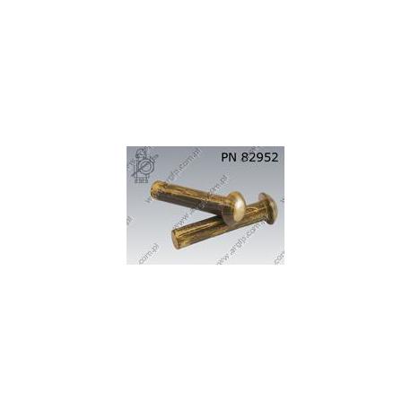 Round head rivet  6×20-brass   DIN 660