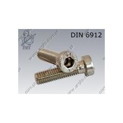 Hex socket head cap screw, low head  M 5×12-A2   DIN 6912