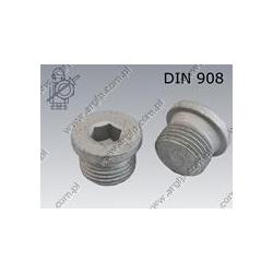 Hex socket plug  with collar G 1/2  fl Zn  DIN 908