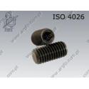 Hex socket set screw with flat point  M 2,5× 6-45H   ISO 4026