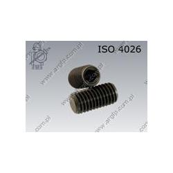 Hex socket set screw with flat point  M 2,5×10-45H   ISO 4026