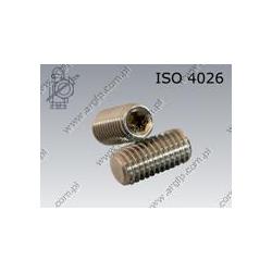 Hex socket set screw with flat point  M 8×20-A2   ISO 4026