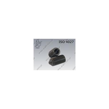 Hex socket set screw with cone point  M20×30-45H   ISO 4027