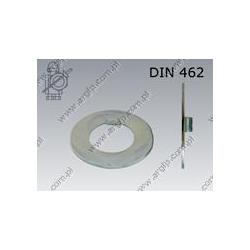 Internal tab washer  20  zinc plated  DIN 462