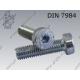 Hex socket head cap screw, low head  M10×30-08.8 zinc plated  DIN 7984