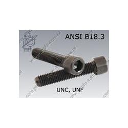 Hex socket head cap screw  FT 1/4-UNC× 3/4"-12.9   ANSI B18.3 (~ISO4762)