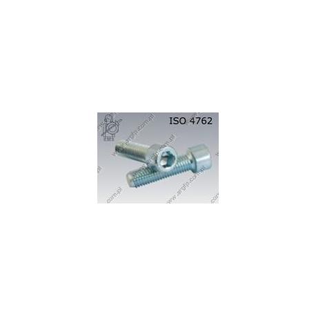 Hex socket head cap screw  FT M 3× 4-8.8 zinc plated  ISO 4762