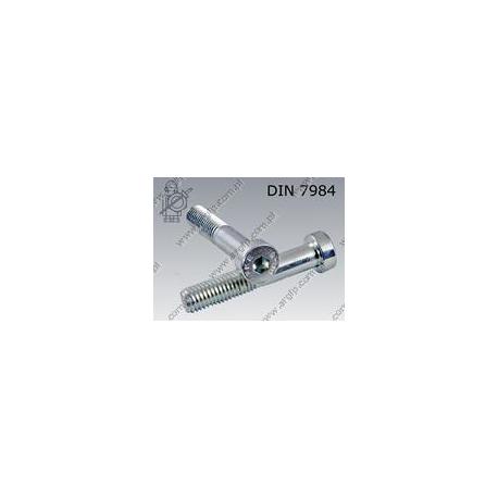 Hex socket head cap screw, low head  M 6×40-08.8 zinc plated  DIN 7984