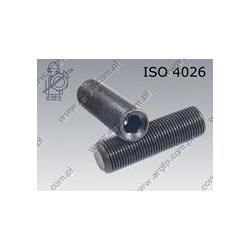 Hex socket set screw with flat point  M 8×1×10-45H   ISO 4026