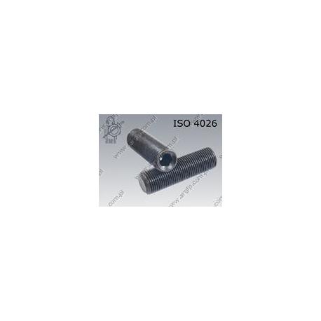 Hex socket set screw with flat point  M 8×1×12-45H   ISO 4026