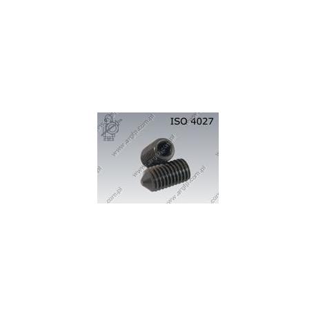 Hex socket set screw with cone point  M 4× 4-45H   ISO 4027