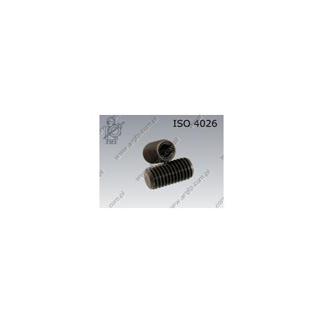 Hex socket set screw with flat point  M24×40-45H   ISO 4026