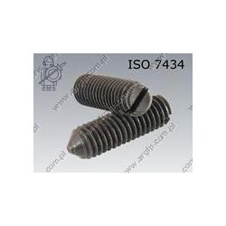 Slotted set screw with cone point  M 4×12-14H   ISO 7434