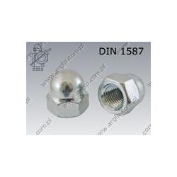 Dome cap nut  M10-6 zinc plated  DIN 1587