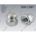Dome cap nut  M10-6 zinc plated  DIN 1587