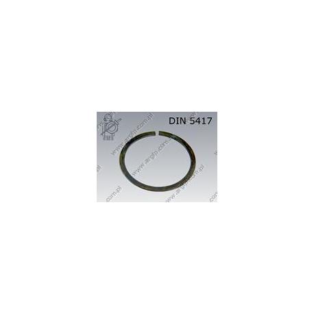 Snap ring  SP 100    DIN 5417