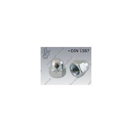 Dome cap nut  two-piece M12-6 zinc plated  ~DIN 1587