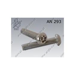 Hexagon socket button head screw  Pin Tx M 3× 6-A2   AN 293