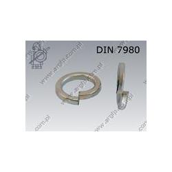 Spring washer  20,2(M20)  zinc plated  DIN 7980