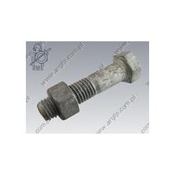 Hex bolt  w. nut M18×80-8.8 tZn  DIN 931