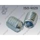 Hex socket set screw with cup point  M 6× 8-45H zinc plated  ISO 4029
