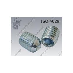 Hex socket set screw with cup point  M 6× 8-45H zinc plated  ISO 4029