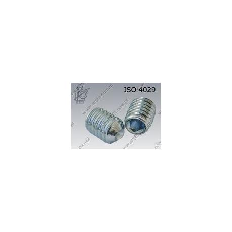 Hex socket set screw with cup point  M 6× 8-45H zinc plated  ISO 4029