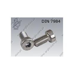 Hex socket head cap screw, low head  M 6×12-A2   DIN 7984