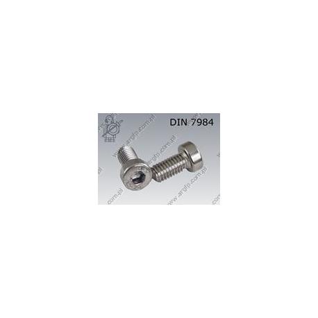 Hex socket head cap screw, low head  M 6×12-A2   DIN 7984