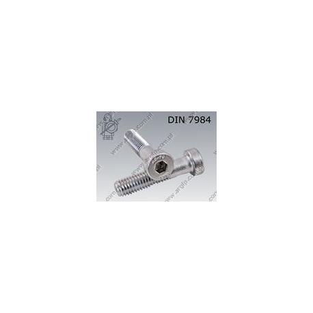 Hex socket head cap screw, low head  M10×40-A2   DIN 7984