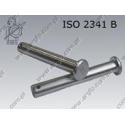 09 Clevis pin  8×35  zinc plated  ISO 2341 B per 200
