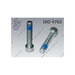 Hex socket head cap screw  FT M10×25-8.8 zinc plated DIN 267-28 KLF ISO 4762
